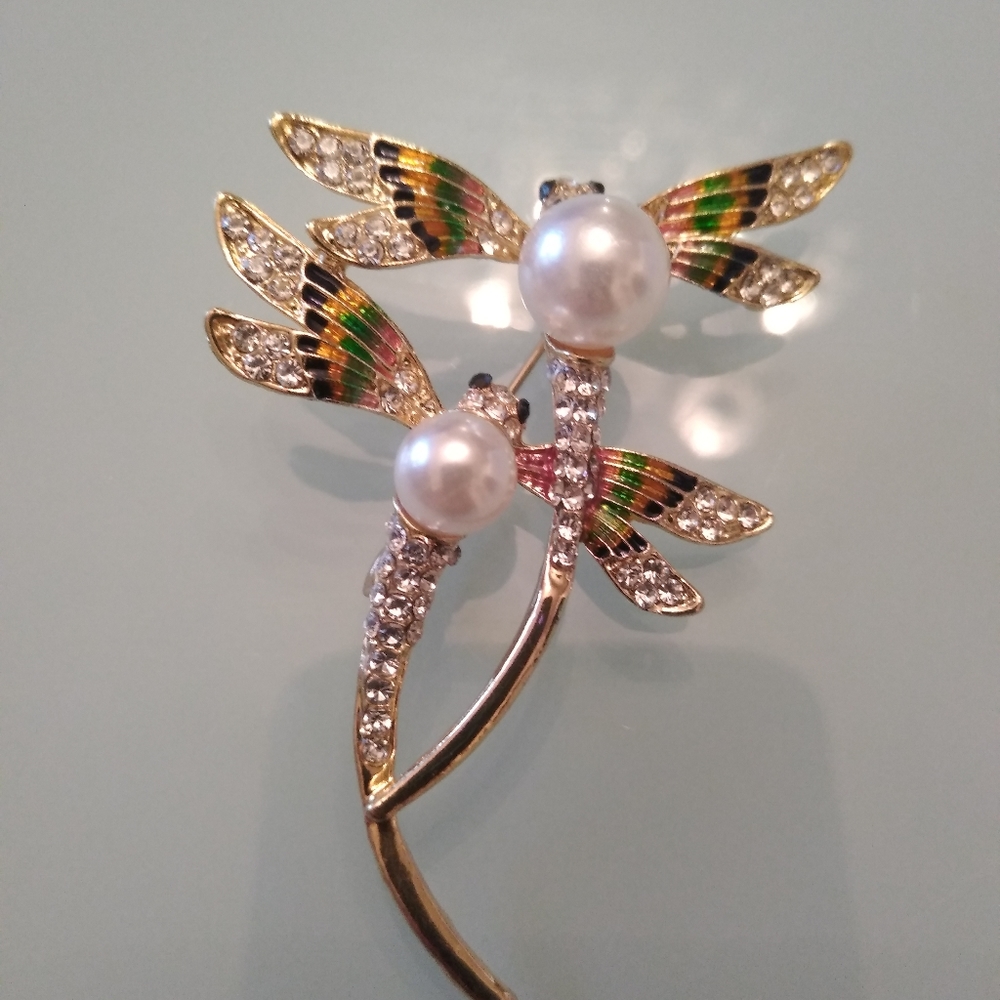 Dragonflies Brooch